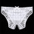 CURVESTYLES PANTIES CS2041